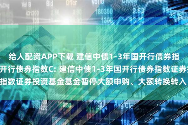 给人配资APP下载 建信中债1-3年国开行债券指数A,建信中债1-3年国开行债券指数C: 建信中债1-3年国开行债券指数证券投资基金基金暂停大额申购、大额转换转入、定期定额投资公告