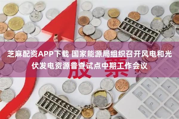 芝麻配资APP下载 国家能源局组织召开风电和光伏发电资源普查试点中期工作会议