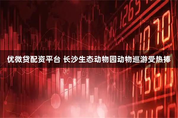 优微贷配资平台 长沙生态动物园动物巡游受热捧
